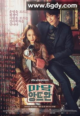 安托万夫人(2016)完结16集全迅雷网盘全集下载