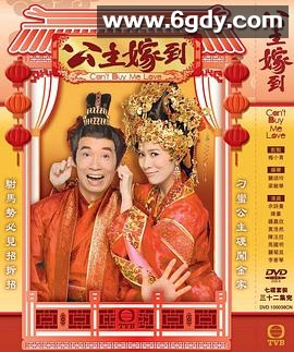 公主嫁到(2010)完结32集全迅雷网盘全集下载