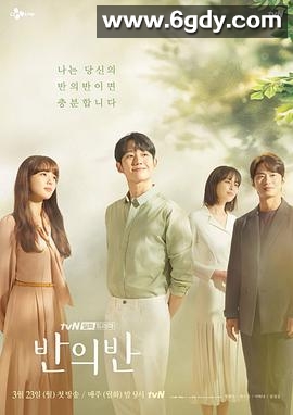 半之半(2020)完结12集全迅雷网盘全集下载