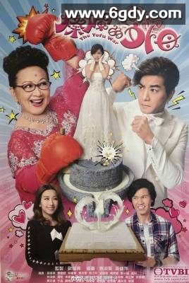 灿烂的外母(2017)完结全20集迅雷网盘全集下载