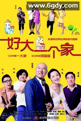 好大一个家(2015)完结已完结迅雷网盘全集下载