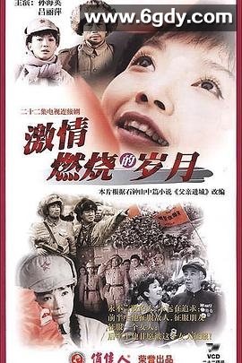 激情燃烧的岁月(2001)完结22集全迅雷网盘全集下载