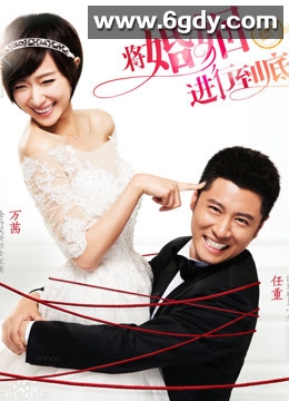 将婚姻进行到底(2017)完结已完结迅雷网盘全集下载