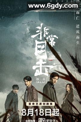 非常目击(2020)完结全12集迅雷网盘全集下载