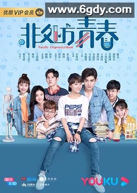 非处方青春(2020)完结24集全迅雷网盘全集下载