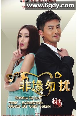 非缘勿扰(2013)完结已完结迅雷网盘全集下载