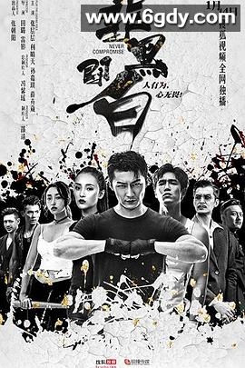 非黑即白(2020)完结全12集迅雷网盘全集下载