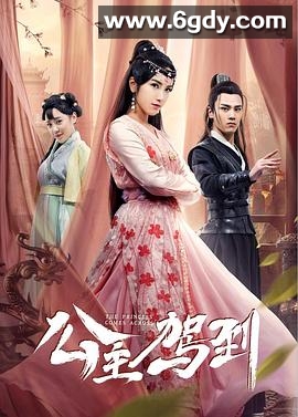 公主驾到(2019)完结全25集迅雷网盘全集下载