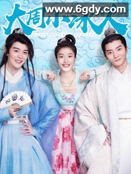 大周小冰人(2019)完结全12集迅雷网盘全集下载