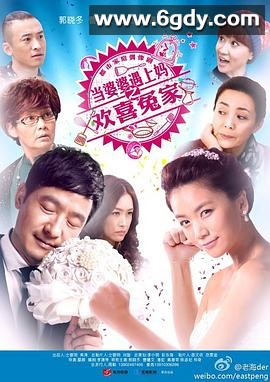 当婆婆遇上妈之欢喜冤家(2014)完结已完结迅雷网盘全集下载