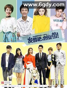 发酵吧，创业菌(2018)完结全14集迅雷网盘全集下载