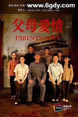 父母爱情(2014)完结44集全迅雷网盘全集下载