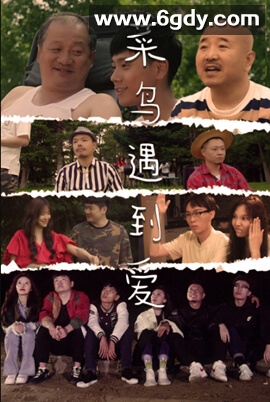 菜鸟遇到爱(2022)完结全30集迅雷网盘全集下载