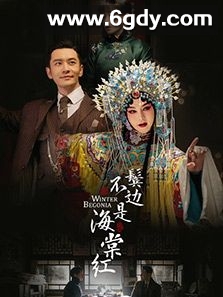 鬓边不是海棠红(2020)完结全49集迅雷网盘全集下载