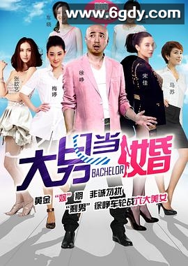 大男当婚(2012)完结全30集迅雷网盘全集下载