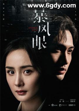 暴风眼(2021)完结全40集迅雷网盘全集下载