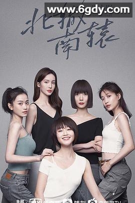 北辙南辕(2021)完结全30集迅雷网盘全集下载