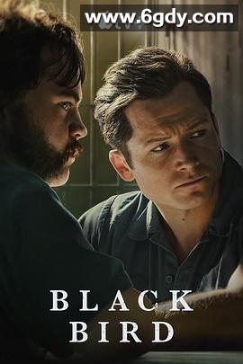黑鸟(2022)完结全6集迅雷网盘全集下载