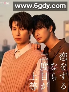 第二次恋爱才完美(2024)完结6集全迅雷网盘全集下载