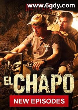 毒枭矮子 第三季(2018)完结13集全迅雷网盘全集下载