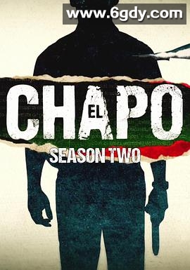 毒枭矮子 第二季(2017)完结12集全迅雷网盘全集下载