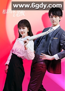 相亲对象是老板(2024)完结全12集迅雷网盘全集下载