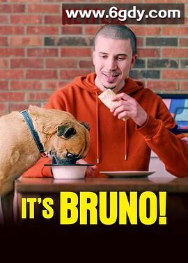 布鲁诺驾到！(2019)完结更新至8集完结迅雷网盘全集下载