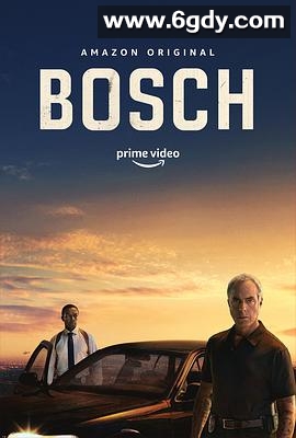 博斯 第六季(2020)完结10集全迅雷网盘全集下载