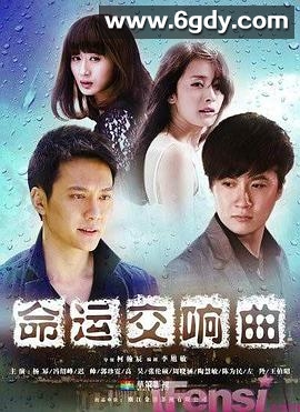 命运交响曲(2011)完结已完结迅雷网盘全集下载