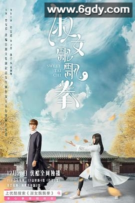 淑女飘飘拳(2019)完结24集全迅雷网盘全集下载