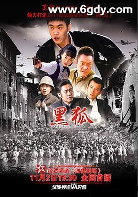 黑狐(2011)完结全38集迅雷网盘全集下载
