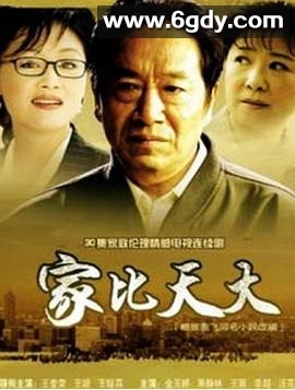 家比天大(2007)完结31集全迅雷网盘全集下载