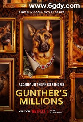 亿万富犬(2023)完结4集全迅雷网盘全集下载