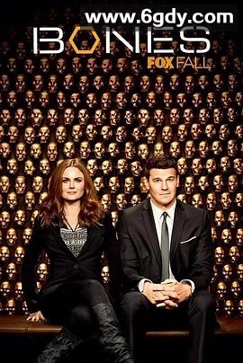 识骨寻踪 第九季(2013)完结24集全迅雷网盘全集下载