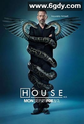 豪斯医生 第六季(2009)完结21集全迅雷网盘全集下载