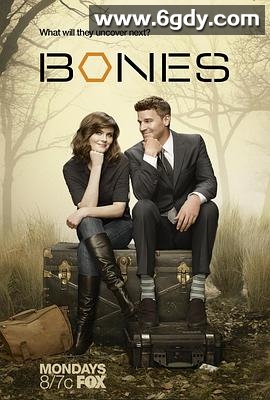 识骨寻踪 第八季(2012)完结24集全迅雷网盘全集下载