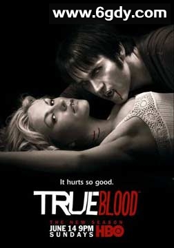 真爱如血 第二季(2009)完结12集全迅雷网盘全集下载