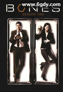 识骨寻踪 第二季(2006)完结21集全迅雷网盘全集下载
