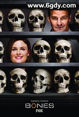 识骨寻踪 第四季(2008)完结26集全迅雷网盘全集下载