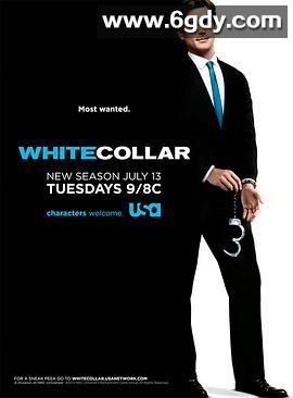 妙警贼探 第二季(2010)完结16集全迅雷网盘全集下载