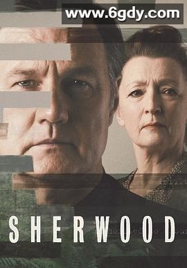 失魂舍伍德 第一季(2022)完结6集全迅雷网盘全集下载