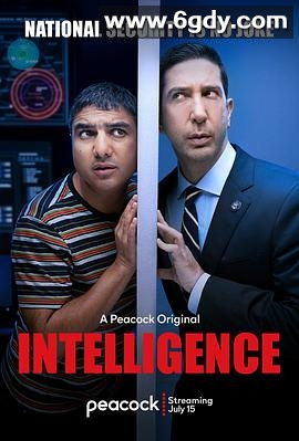 不靠谱情报局 第一季(2020)完结6集全迅雷网盘全集下载