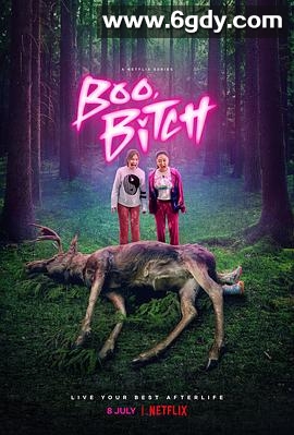 这是什么鬼(2022)完结8集全迅雷网盘全集下载