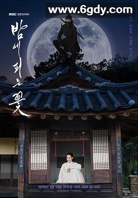 夜晚开的花(2024)完结12集全迅雷网盘全集下载