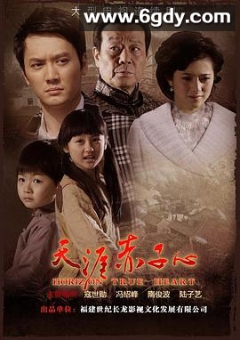 天涯赤子心(2010)完结已完结迅雷网盘全集下载