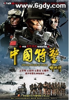 中国特警(2010)完结已完结迅雷网盘全集下载