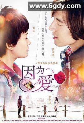 因为·爱(2013)完结全30集迅雷网盘全集下载