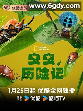 虫虫历险记(2024)完结5集全迅雷网盘全集下载