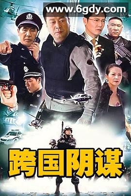 跨国阴谋(2010)完结已完结迅雷网盘全集下载