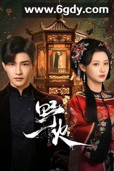 野火(2025)完结24集全迅雷网盘全集下载